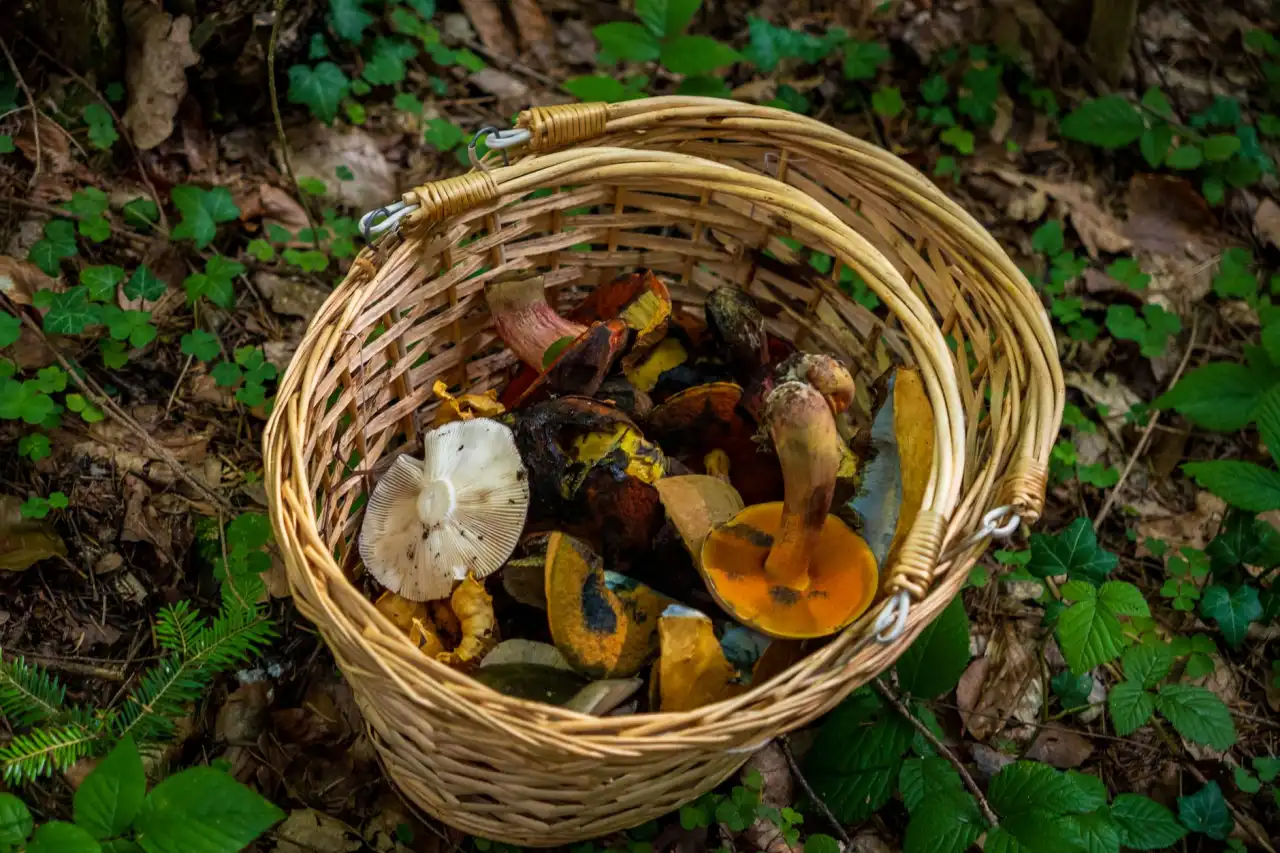 上海佰历亚克力资料架与金属资料架承重性能对比测试